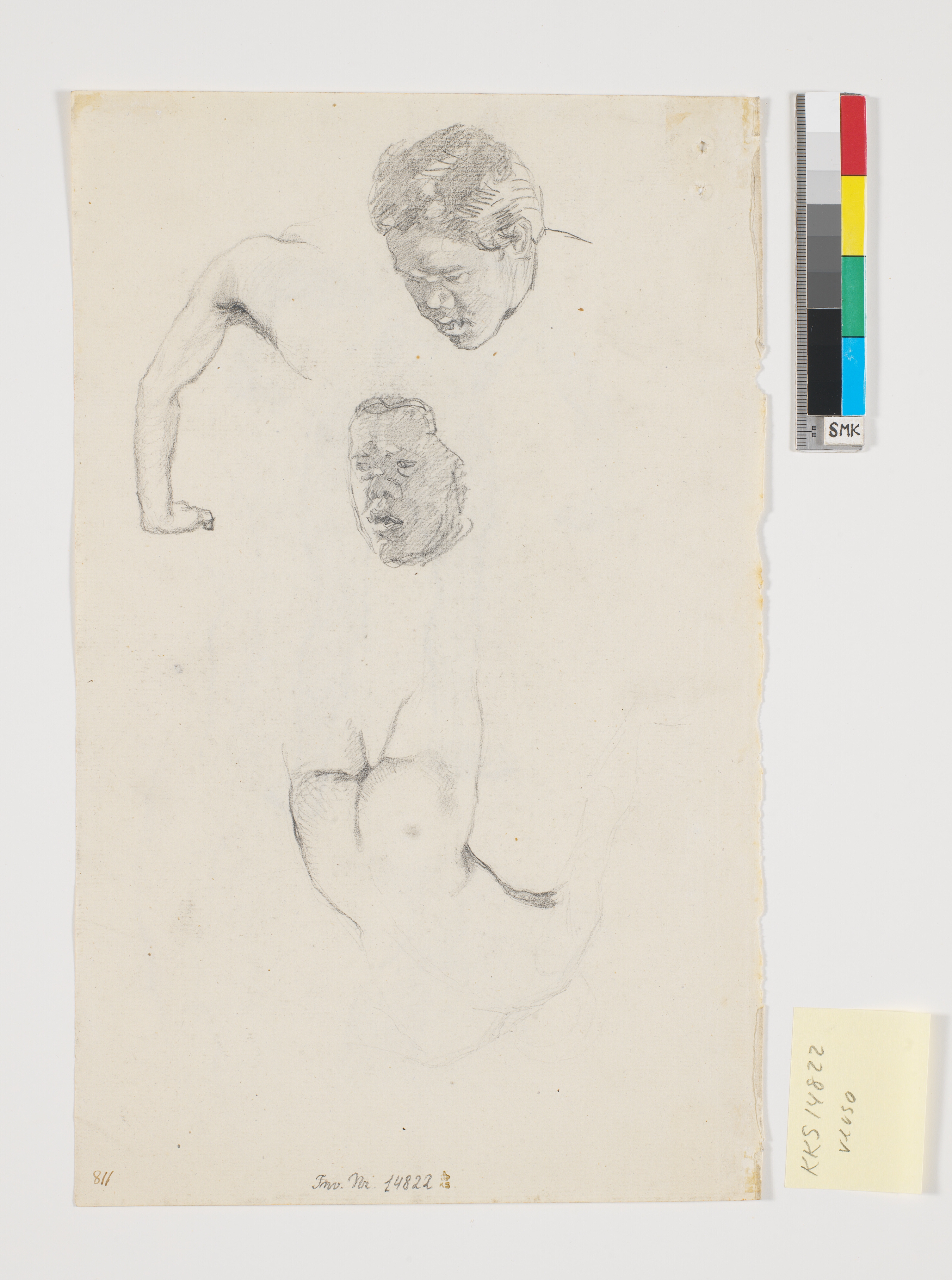 Fire studier efter samme model som recto